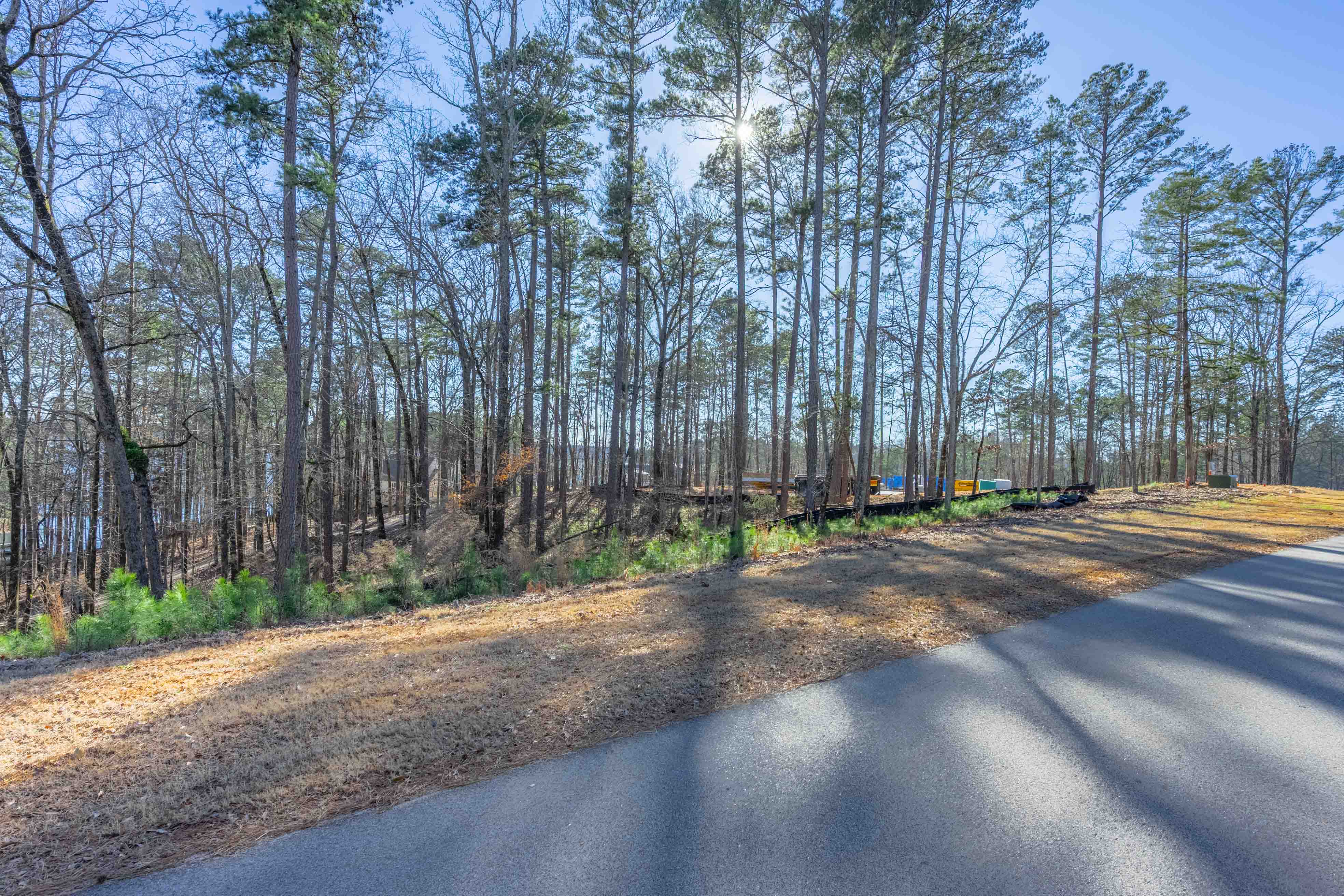 1261 Jumping Rock Drive image 4